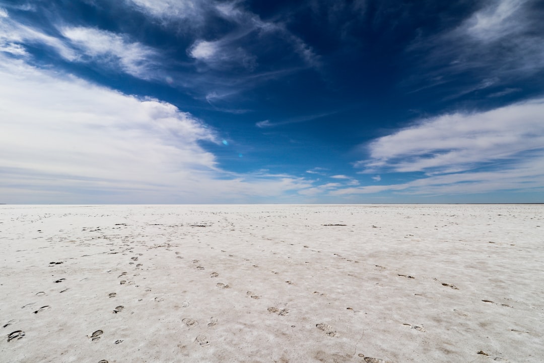 All About Lake Eyre (North), South Australia