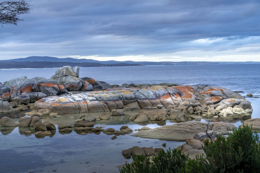 Photo Break ODay Tasmania