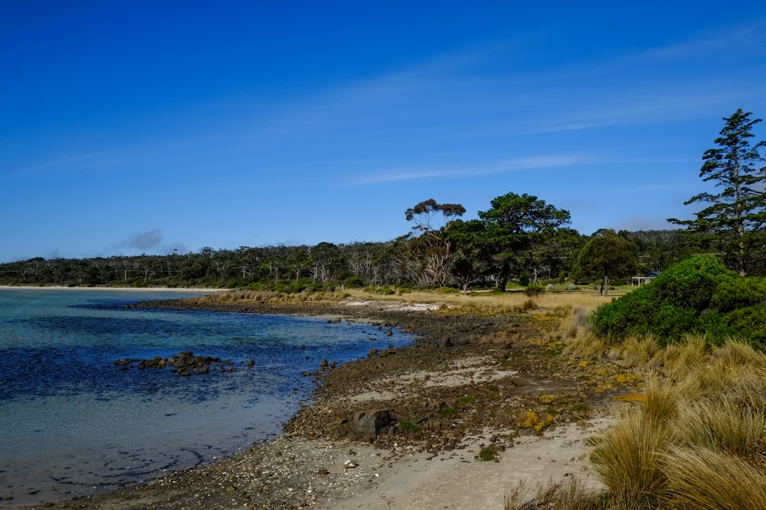 Exploring Dorset: Tasmania’s Charming Gem
