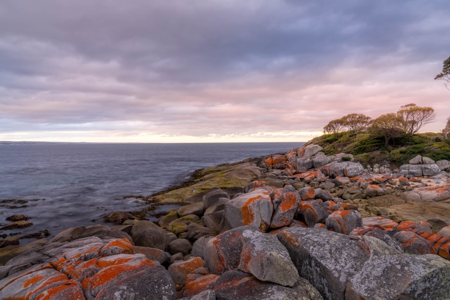 Photo Flinders Tasmania