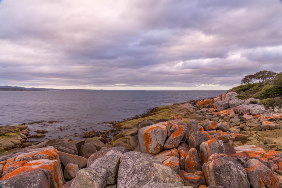 King Island Tasmania