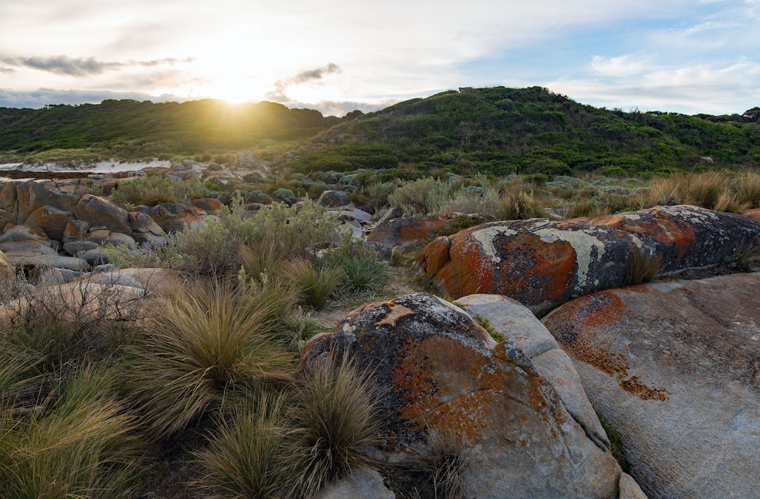 Exploring the Natural Beauty of Huon Valley, Tasmania