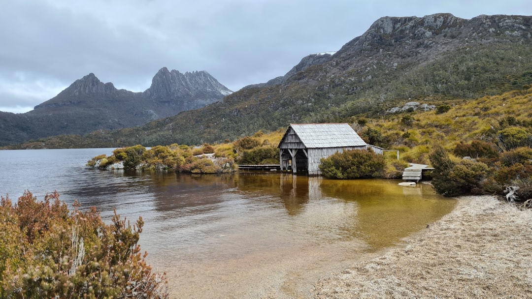 Exploring the Beauty of Tasman Tasmania