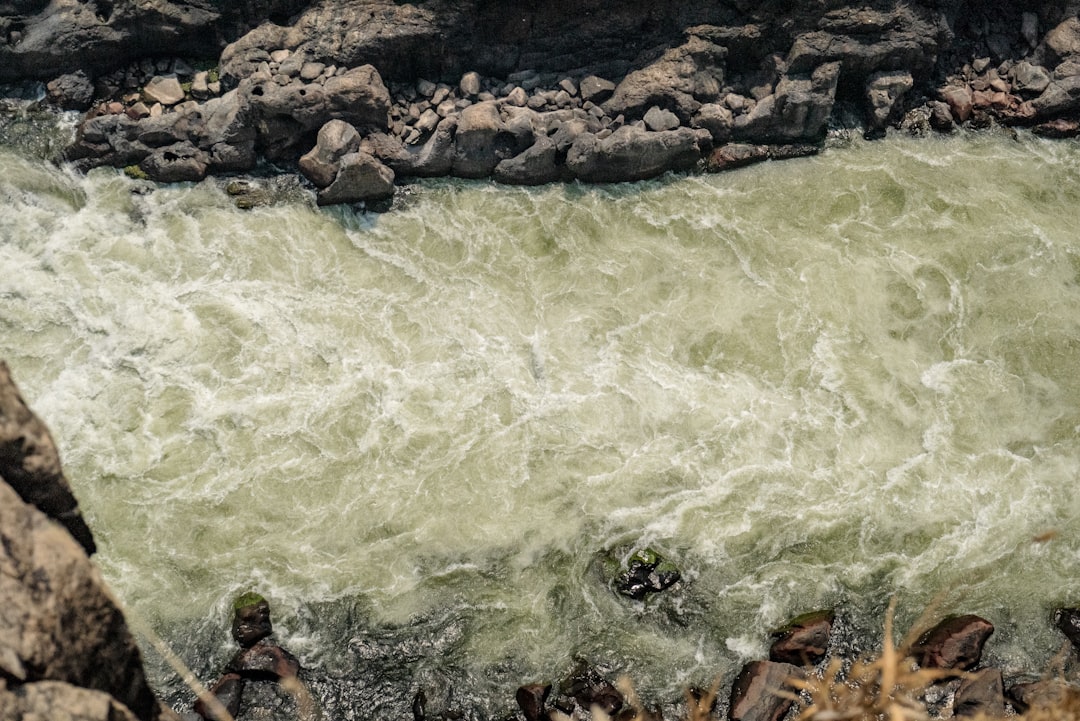 Exploring Victoria River, Australia: A Natural Wonder